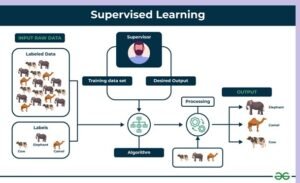 difference between supervised and unsupervised learning