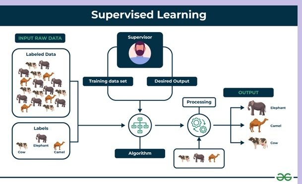 difference between supervised and unsupervised learning